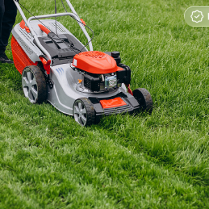 Weekly Lawn Mowing