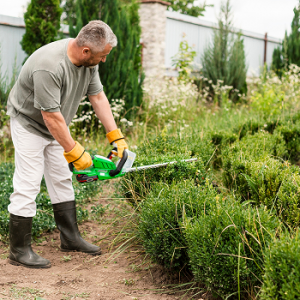 Mulch Installation & Shrub Trimming