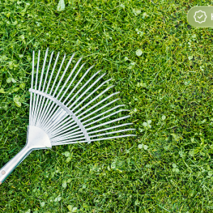 Leaf Removal Service