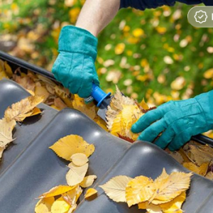 Gutter Cleaning Service